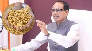 Agriculture Minister Shivraj Singh Chauhan extended the purchase period of groundnut and soybean, also approved 100% purchase of pulses