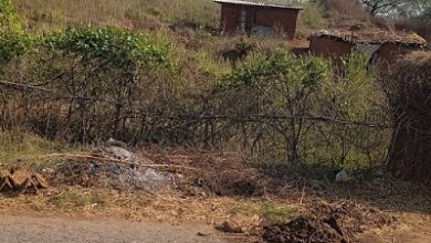 Occupation of forest land continues in Forest Range Kon with the connivance of the concerned department, department accused of extortion