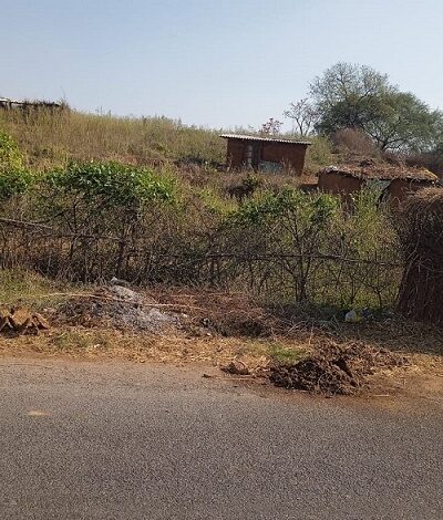 Occupation of forest land continues in Forest Range Kon with the connivance of the concerned department, department accused of extortion