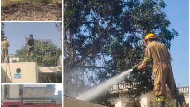 The fire in the forest of KCC Inter College ground could have been a major accident