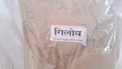 Lucknow: Big scam in the name of Ayurvedic medicine, medicines without label are a threat to the lives of patients