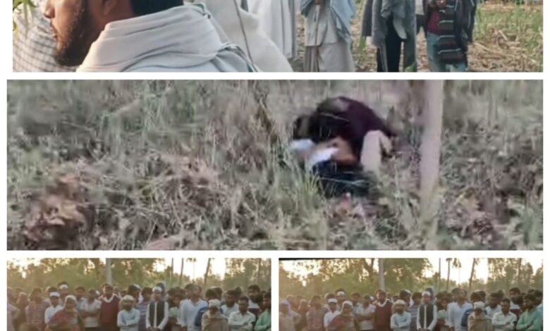 The punishment for love is death, suicide or murder