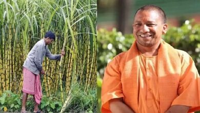 Lucknow: Big relief to farmers, now sugar cane payment will be made directly in bank account from sugar mills