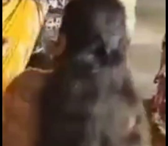 Sultanpur: Village headman did celebratory firing during turmeric ceremony, case registered