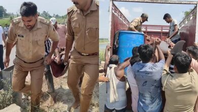 Lucknow: The Forest Department rescued the dolphin seen in the Indira Canal and brought it to the Ghaghra River