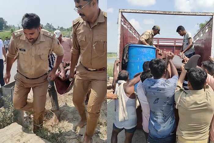 Lucknow: The Forest Department rescued the dolphin seen in the Indira Canal and brought it to the Ghaghra River
