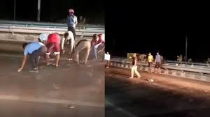 Kaushambi: Criminals ran away after looting a bag full of 20 lakh rupees, notes scattered on the road, people started looting