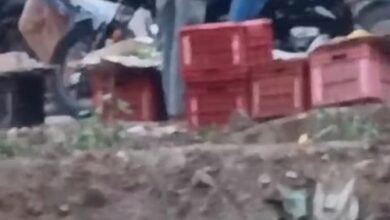 Lucknow: Jam due to mango shops at Nadarganj intersection, situation not improving even after police action