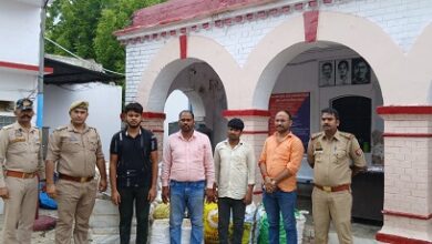 Lucknow: 3 members of inter-state oxytocin smuggling gang arrested, consignment worth Rs 1.20 crore recovered