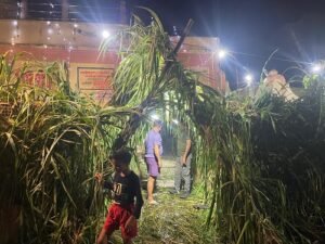 On the second Monday of Sawan, Sapadiya Mahadev temple was decorated with Chari in a wonderful way, 'One tree in the name of mother' scheme got a new identity