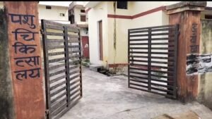 Ayodhya: SP MP Awadhesh Prasad and Congress leader Pankaj Singh targeted the Yogi government over the plight of cattle.